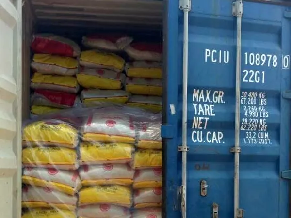 20ft container with doors open, 50 kg rice bags stacked to the roof under a plastic liner