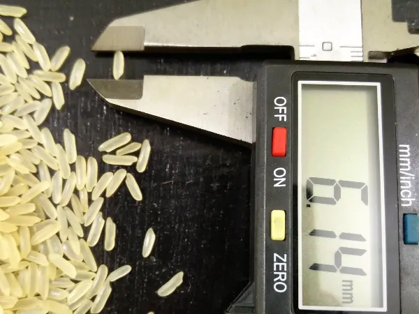 Long grain non-basmati parboiled rice measured on a digital caliper reading 6.14 mm