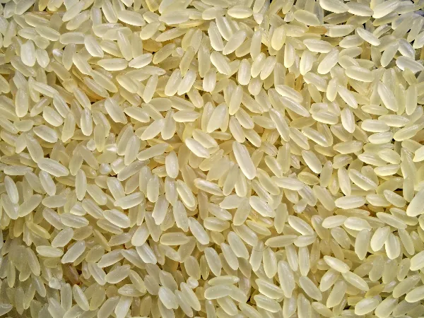 Close-up of non-basmati long grain parboiled rice, pale golden grains