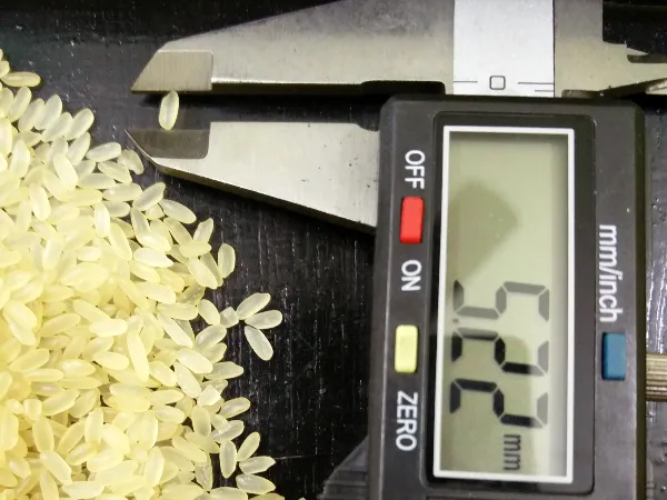 Short grain parboiled rice measured on a digital caliper reading 5.22 mm