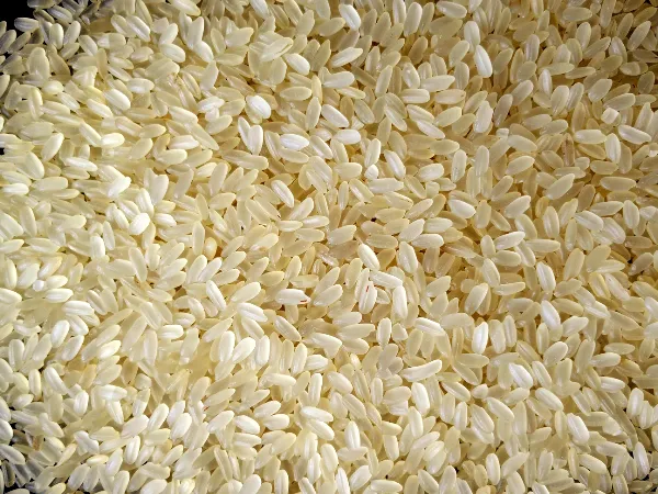 Close-up of Golden Double Silky parboiled rice, short grain, pale golden grains